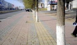 在线观看 盲道,盲道在线观看背后的故事