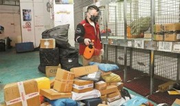 深圳快递小哥最新爆料,行业现状与未来趋势